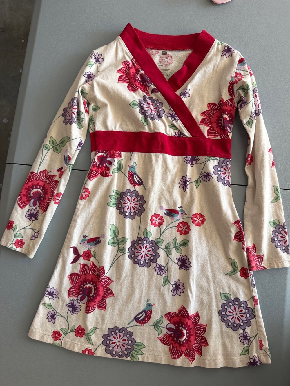 Tea Collection Cream Dress with Red Trim and Floral Print